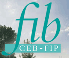 F.I.B. logo