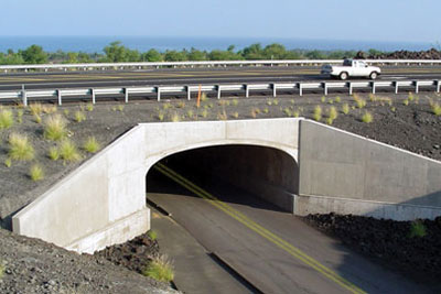 Underpass bridges