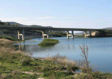 Zigos bridge